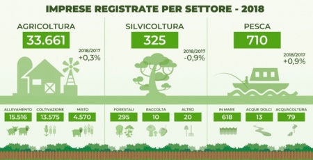 Andamento del settore primario in Sardegna. Un&#039;infografica.
